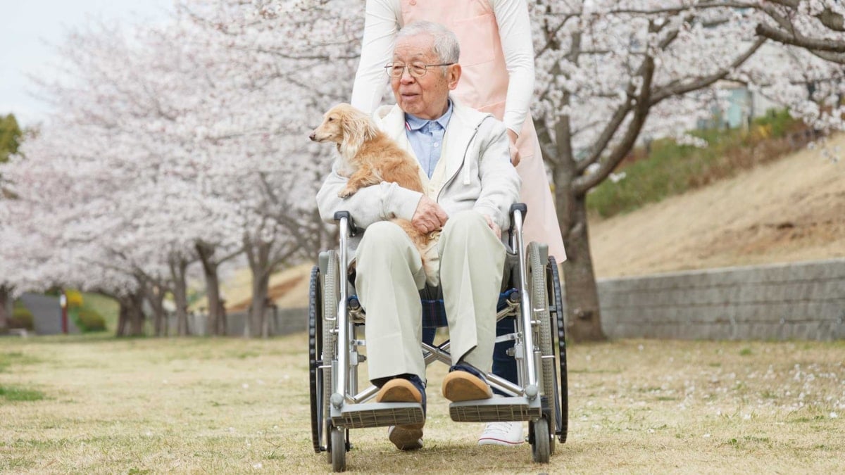 Mann i rullestol, med hund