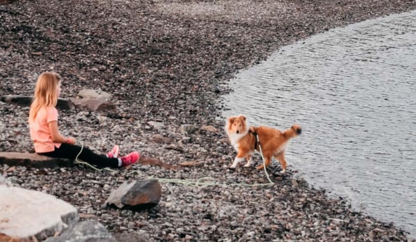 Jente og hund på strand
