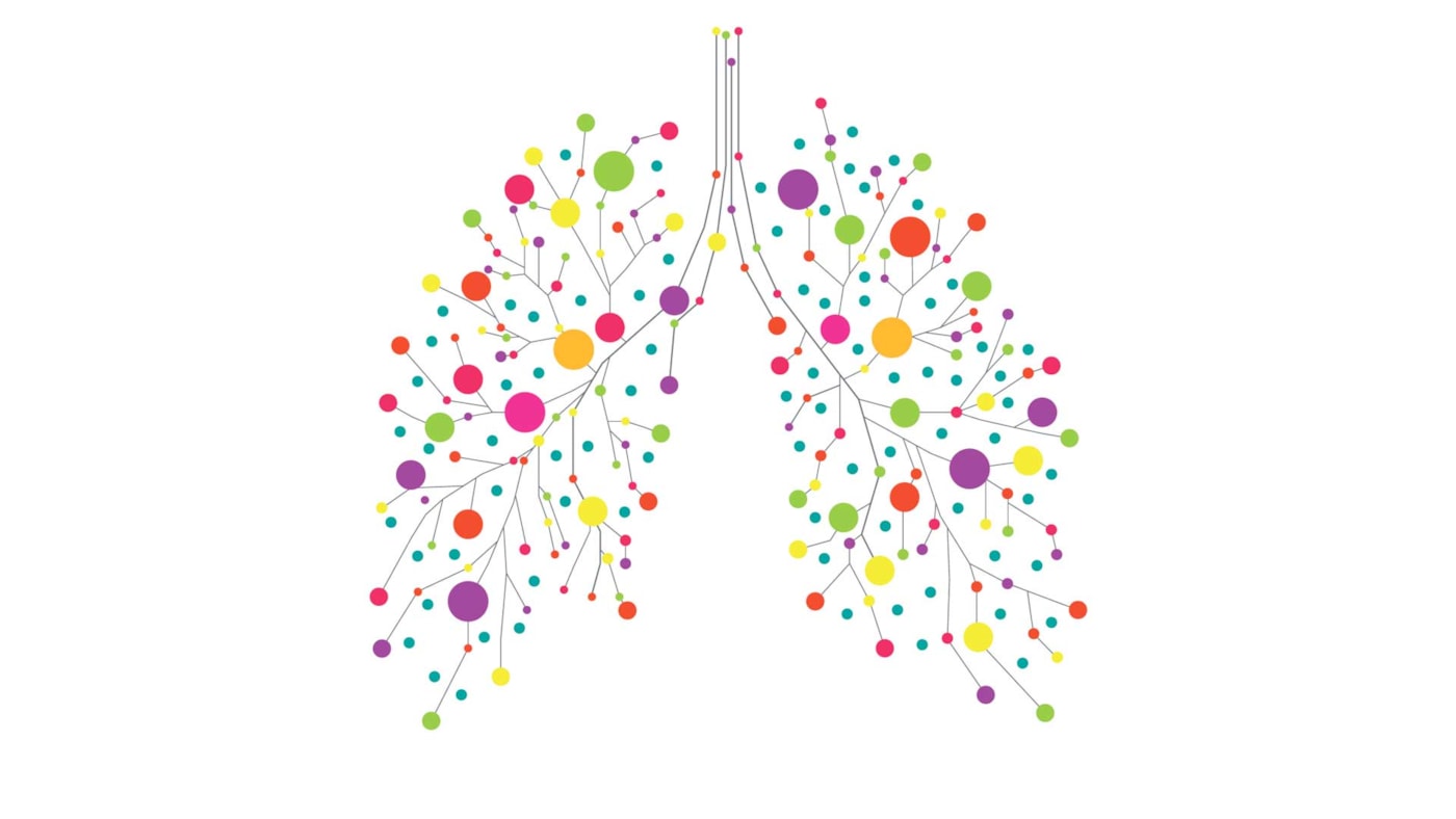 Illustrasjon av lunger