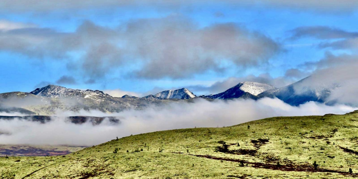 Bilde fra Innlandet, Rondane