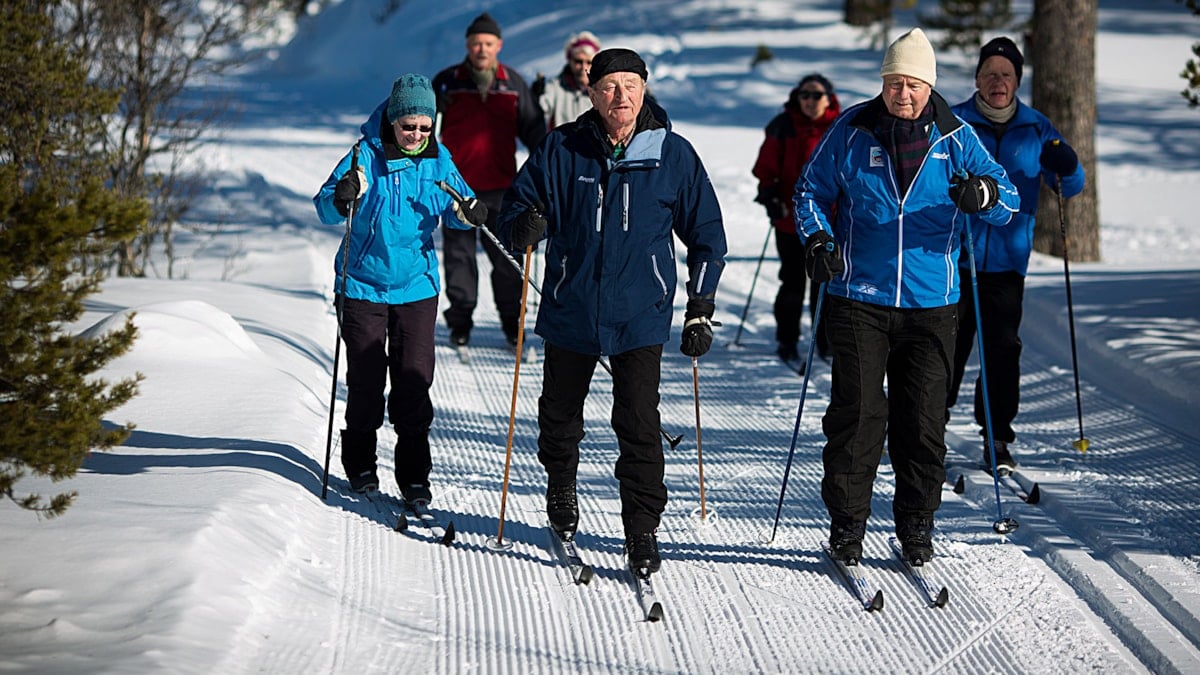 Gruppe mennesker på skitur i skogen